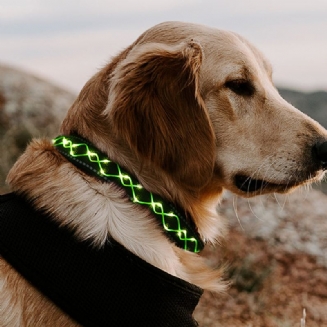 Led Obojek Pro Psy Blikající Světelné Bezpečnostní Noční Světlo Nastavitelné