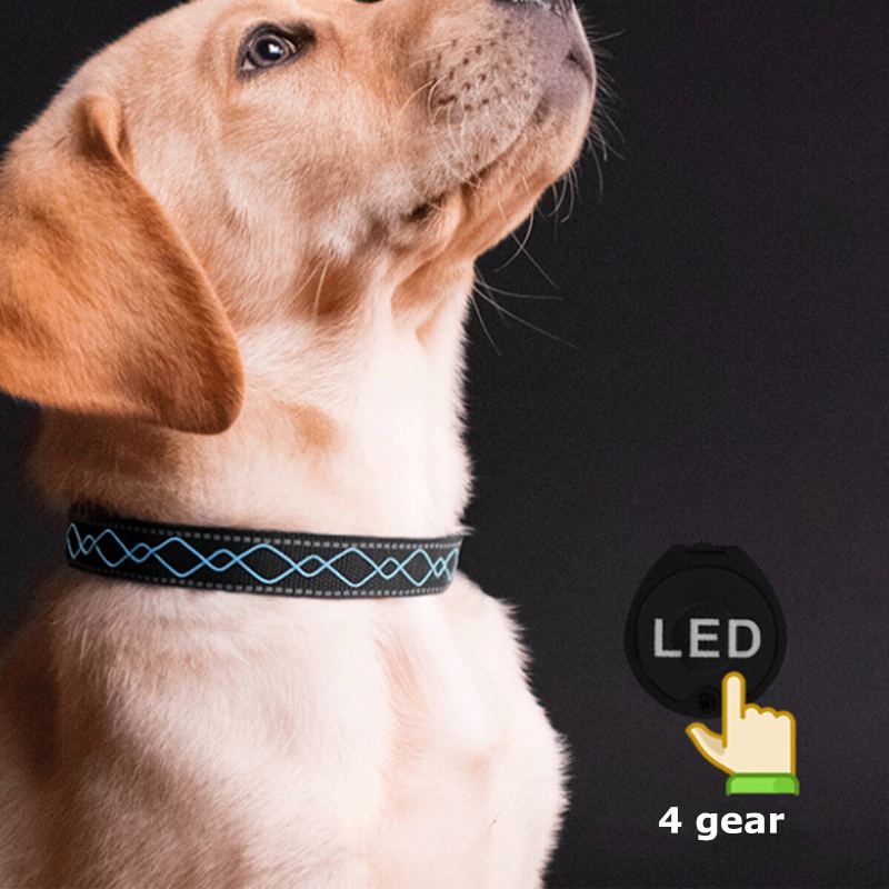 Led Obojek Pro Psy Blikající Světelné Bezpečnostní Noční Světlo Nastavitelné
