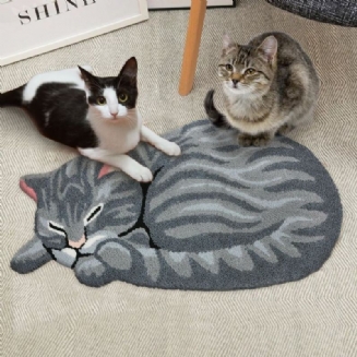 Roztomilý Koberec Ve Tvaru Ložnice Pro Spící Kočkutabby Cat Throw Rug