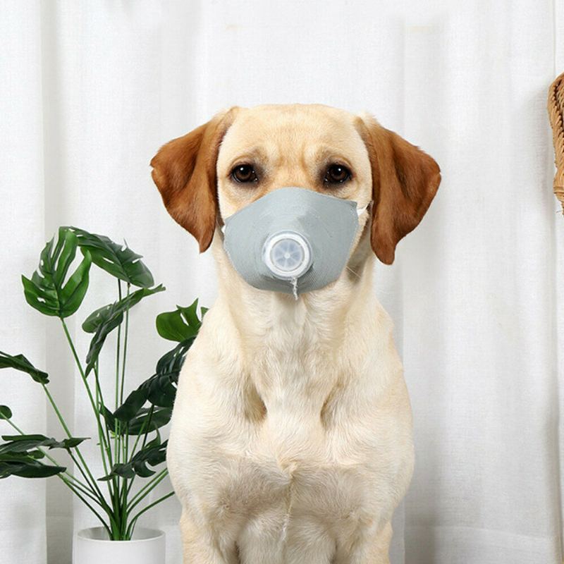 Doton Epidemic Supplies Dog Dustproof Haze Mask Epidemická Maska Ochranná Psí Ústní Pet Dog S/m/l