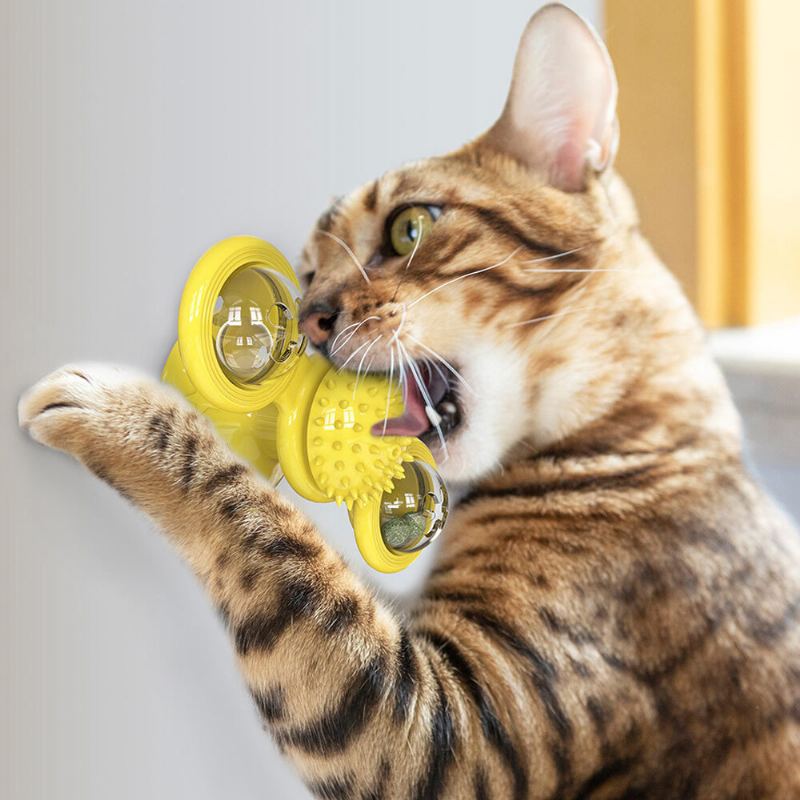 Kočka Funny Toy Multifunkční Větrný Mlýn Gramofon Masážní Lechtání Hračka Kartáč Na Vlasy Pet Interaktivní Hra Se Světelným Míčem