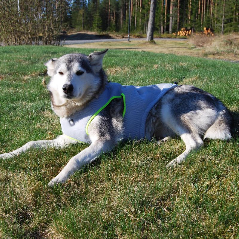 Lovecký Pes Pet Vesta Kabát Prodyšný Krém Na Opalování Chlazení Taktické Oblečení Bunda Psí Tažné Lano