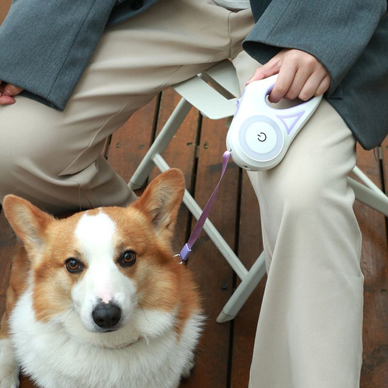 Nylonové Zatahovací Vodítko Pro Psy Led Svítilna S Automatickým Prodloužením Vycházkových Vodítek Trakční Lano Potřeby Pro Psy