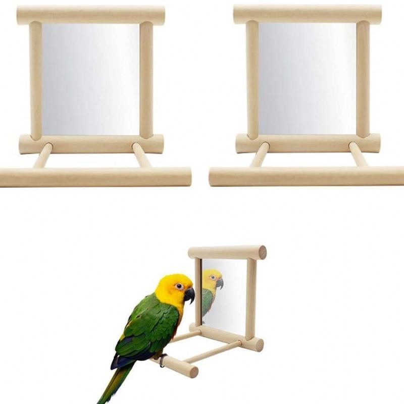 Parrot Bird Zrcadlo Stojan Na Okouna