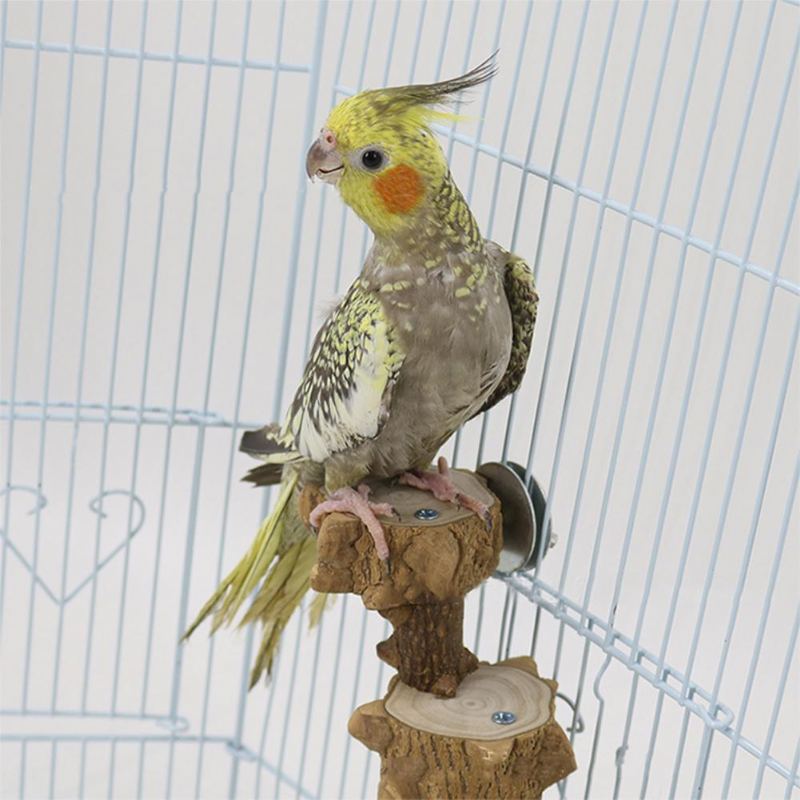 Pták Stojící Dřevěné Schody Papoušek Šplhací Hračka Pro Ptáky Klec