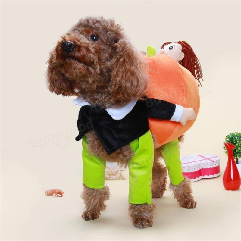 Funny Pet Dog Dýně Pohybující Se Obleky Pet Party Festival Oblečení Kostým Zimní