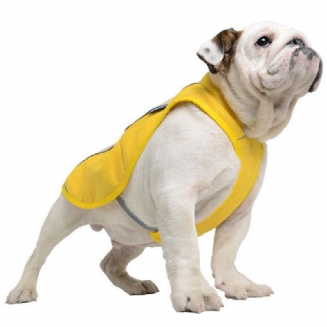 Letní Chladící Vesta / Kabát Pro Domácí Mazlíčky - Ochlaďte Svého Psa V Horkém Počasí