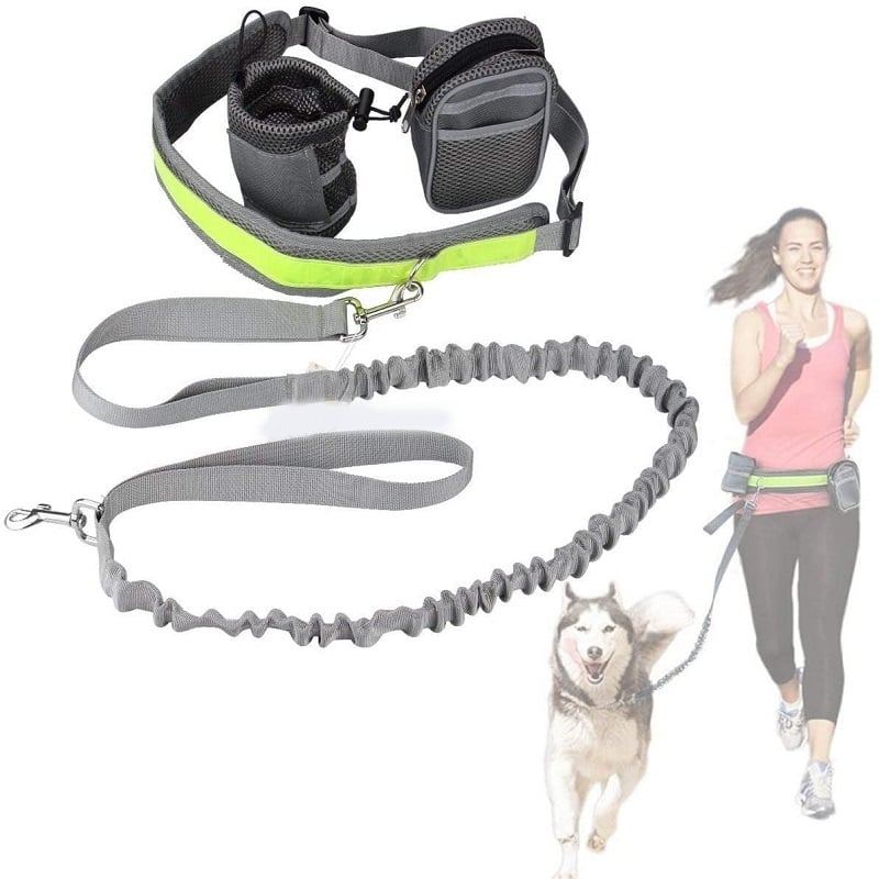 Pes Hands Free Running Leash Elastic Collar Belt Set