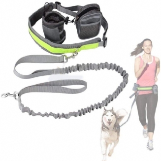 Pes Hands Free Running Leash Elastic Collar Belt Set