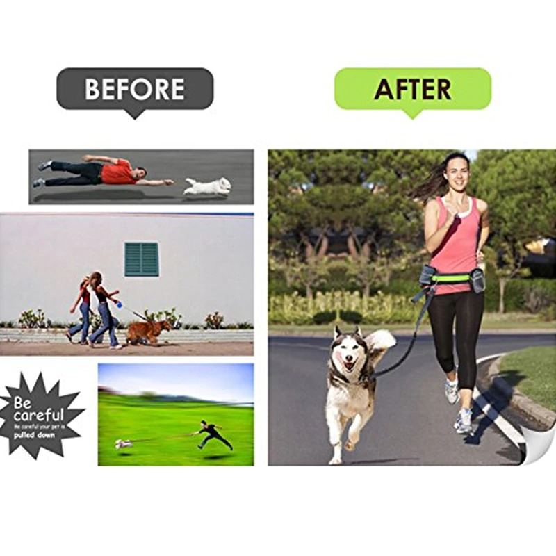 Pes Hands Free Running Leash Elastic Collar Belt Set