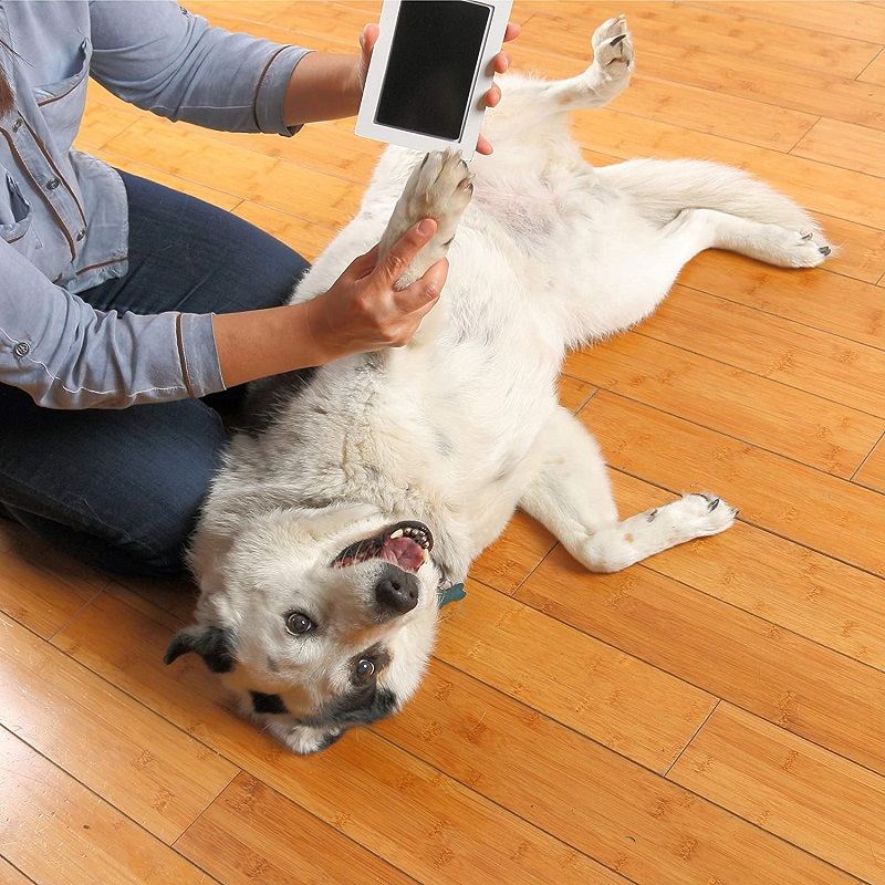 Pet Paw Prints Ink Pad Bezpečný Netoxický Suvenýr S Dlouhou Životností