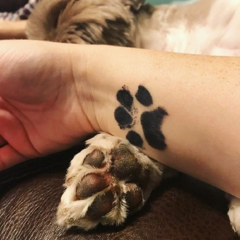 Pet Paw Prints Ink Pad Bezpečný Netoxický Suvenýr S Dlouhou Životností