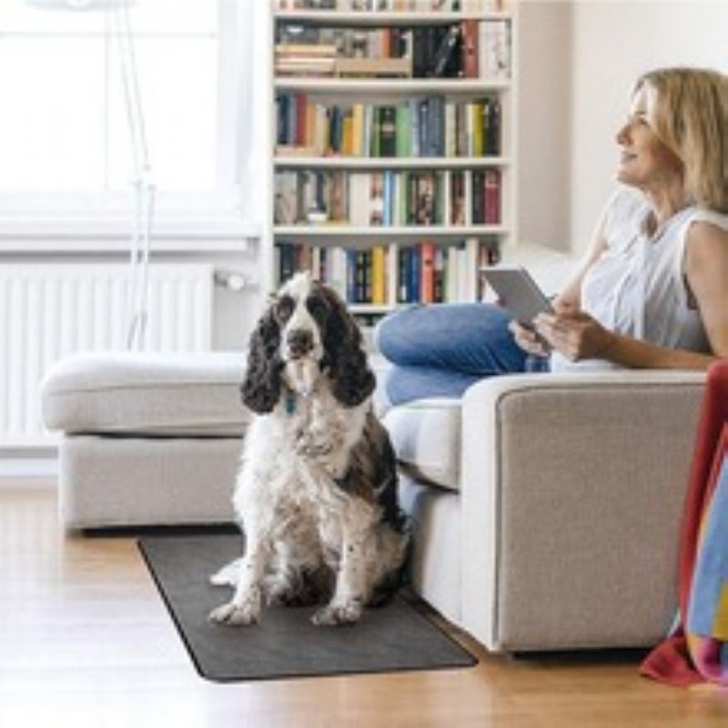 Pet Pee Pad Vodotěsná Podložka Pohlcující Moč Cushion Mat Training Pad