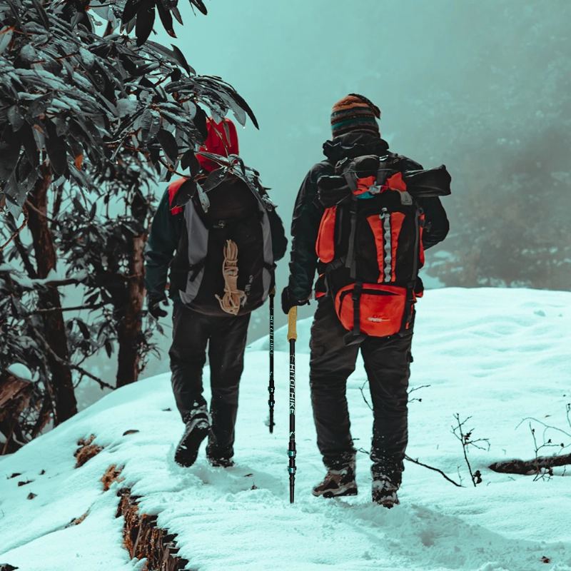 Trekingové Hole Turistická Skládací Hůl Nordic