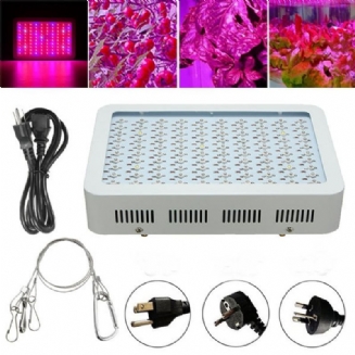 100w Full Spectrum 100 Led Grow Light Lamp Pro Rostliny Hydroponická Pokojová Květina