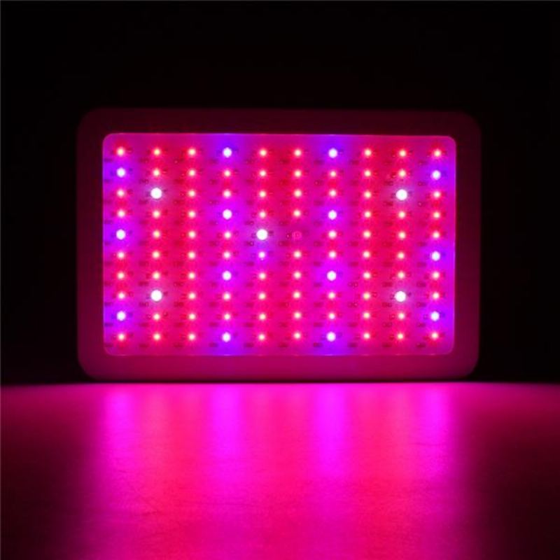 100w Full Spectrum 100 Led Grow Light Lamp Pro Rostliny Hydroponická Pokojová Květina