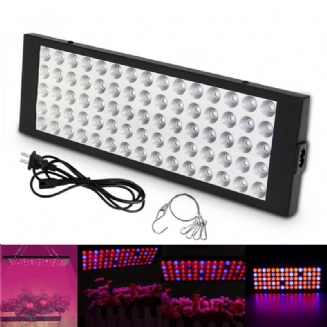 10w 75 Led Hliníkové Pěstební Světlo Pro Rostlinnou Zeleninu V Indoor Hydroponic Ac85-265v