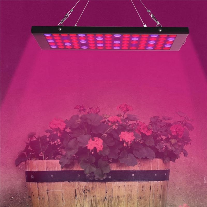 10w 75 Led Hliníkové Pěstební Světlo Pro Rostlinnou Zeleninu V Indoor Hydroponic Ac85-265v