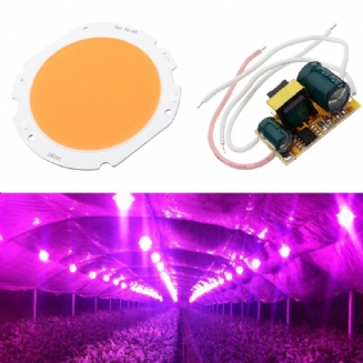 20w Led Cob Round Grow Light Chip Diy S Ac90-240v Napájecím Zdrojem Pro Pokojovou Rostlinu