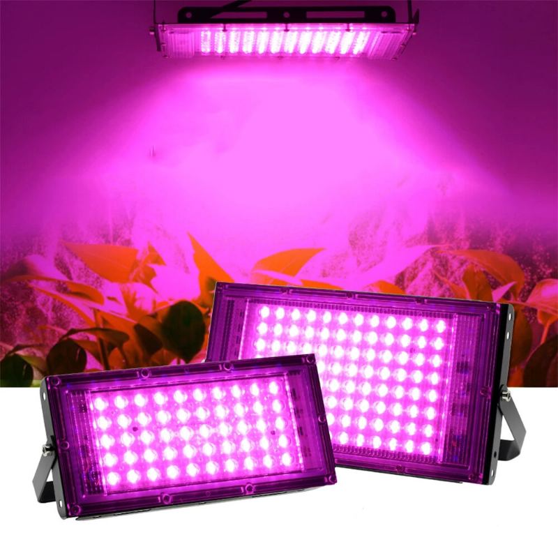 220v Led Grow Light Fytolampa Rostliny Full Spectrum Led Floodlight Květiny Sazenice Fyto Lampa Pro Pěstování Rostlin