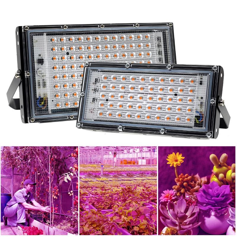 220v Led Grow Light Fytolampa Rostliny Full Spectrum Led Floodlight Květiny Sazenice Fyto Lampa Pro Pěstování Rostlin