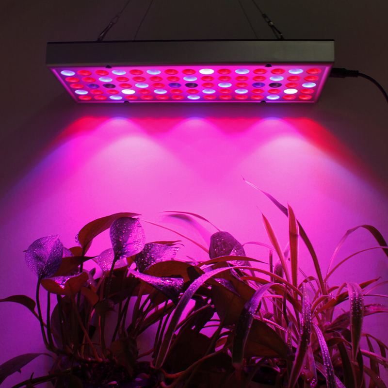 25w 75led Plnospektrální Rostliny Pěstovací Lampy 1000lm Uv Červené Modré Bílé Světlo Čipy Pro Pěstování Ve Skleníku Výsev Pokojových Květin Bonsají