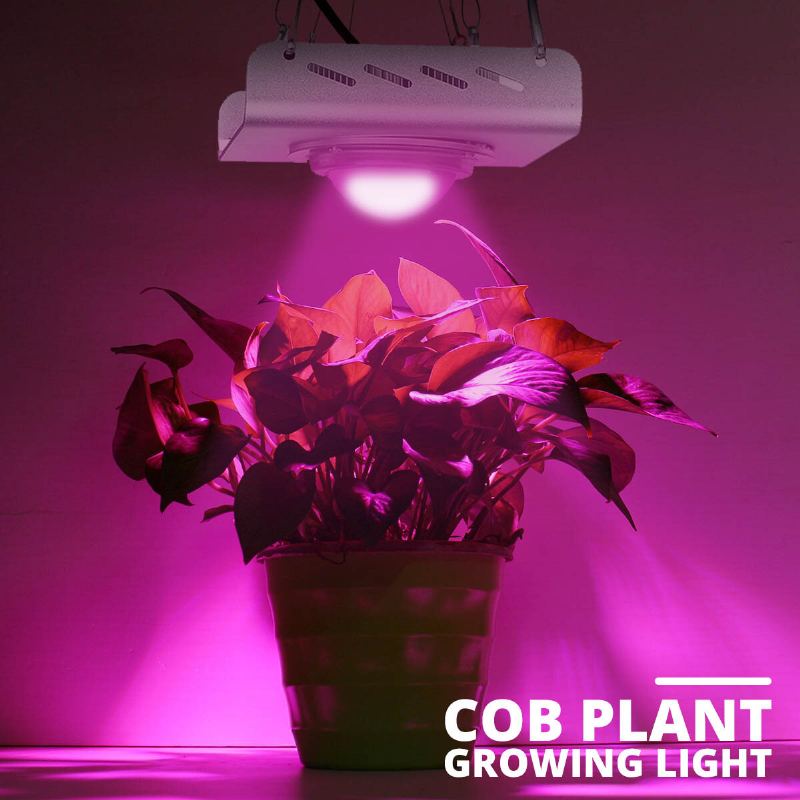 3000w 2600lm 144led Cob Grow Light Full Spectrum Lamp Plant Hydroponie Flower A