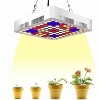 300w 100 Led Grow Light Full Spectrum Panel Lampy Na Osvětlení Pokojových Rostlin Květin