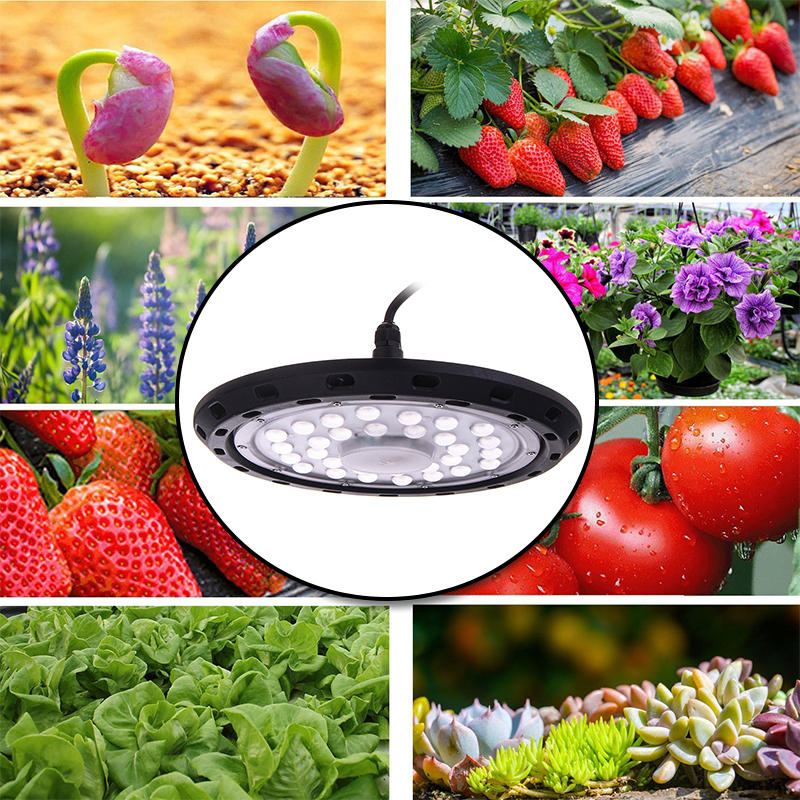 300w Led Grow Light Full Spectrum Hydroponics Greenhouse Lamp Rostlinná Žárovka