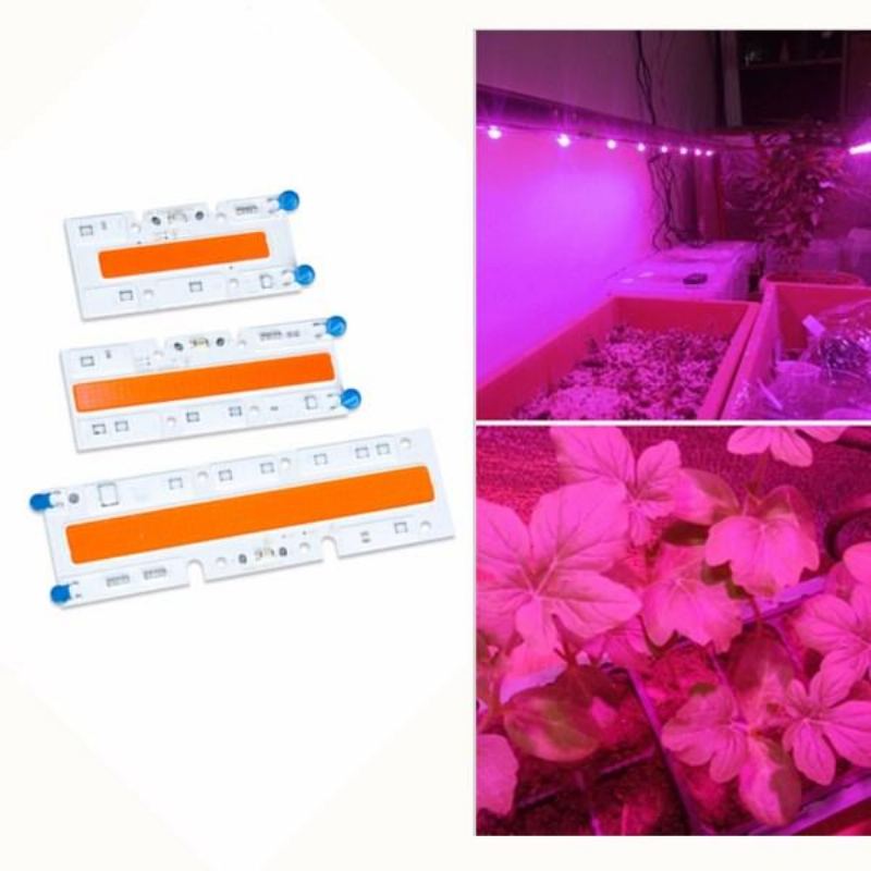 30w/50w/70w Vysoce Výkonný Full Spectrum Led Grow Cob Světelný Čip Pro Rostliny Zelenina Ac110v/ac220v