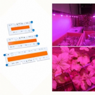 30w/50w/70w Vysoce Výkonný Full Spectrum Led Grow Cob Světelný Čip Pro Rostliny Zelenina Ac110v/ac220v