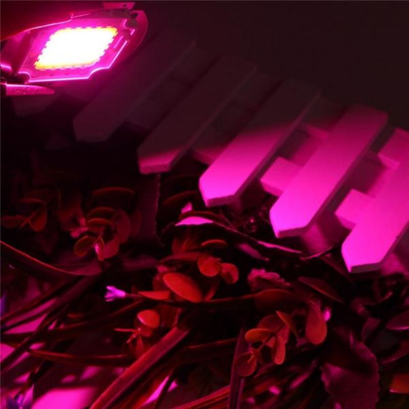 30w Full Spectrum Led Cob Chip Plant Grow Light Ac220/110v