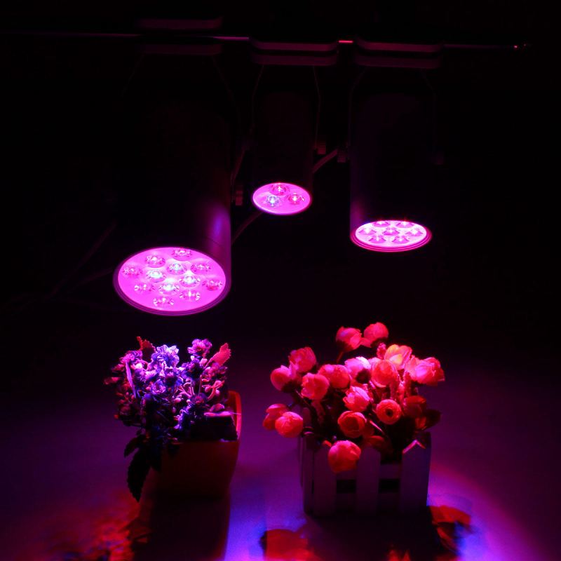 3w 7w 12w Led Svítidla Pro Rostliny Doplňkové Světlo Pro Zaplavení Rostlin Grow Lamp