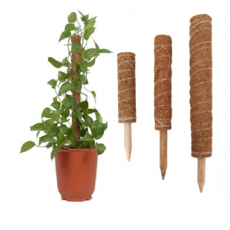 4 Balení Coir Totem Rostlina Moss Stick Pro Šplhání Prodloužení Podpory Rostlin Popínavé Rostliny Pokojové