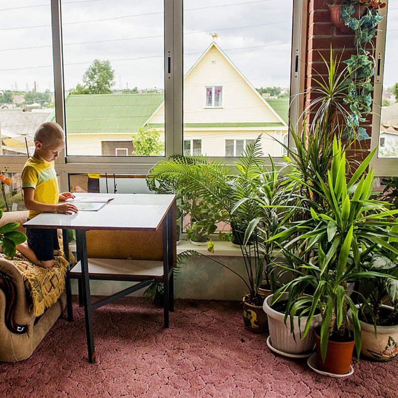 4 Balení Coir Totem Rostlina Moss Stick Pro Šplhání Prodloužení Podpory Rostlin Popínavé Rostliny Pokojové