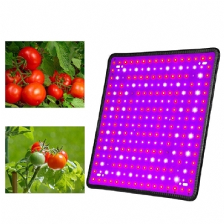 5000w Led Full Spectrum Plant Uv Light Rostlin Pěstovací Lampa Indoor Hydroponic