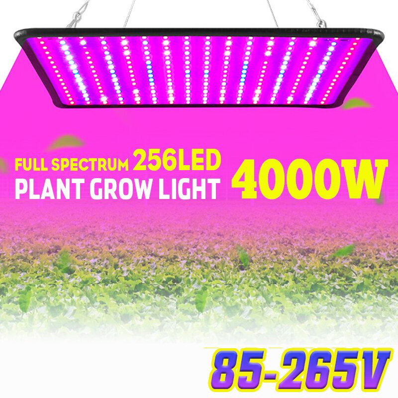 5000w Led Full Spectrum Plant Uv Light Rostlin Pěstovací Lampa Indoor Hydroponic