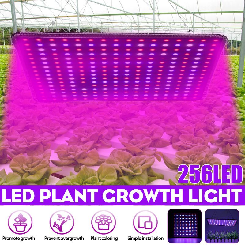 5000w Led Full Spectrum Plant Uv Light Rostlin Pěstovací Lampa Indoor Hydroponic