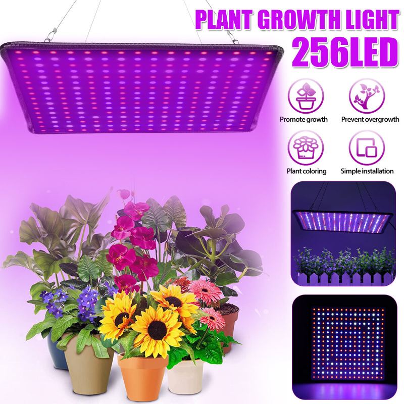 5000w Led Full Spectrum Plant Uv Light Rostlin Pěstovací Lampa Indoor Hydroponic