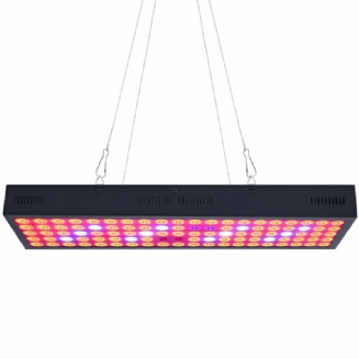 5000w Led Grow Light Strip Hydroponický Celospektrální Rostlinný Panel S Rostlinami A Květinami