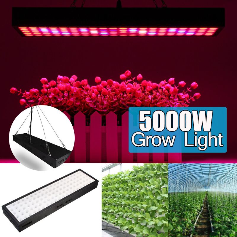 5000w Led Grow Light Strip Hydroponický Celospektrální Rostlinný Panel S Rostlinami A Květinami