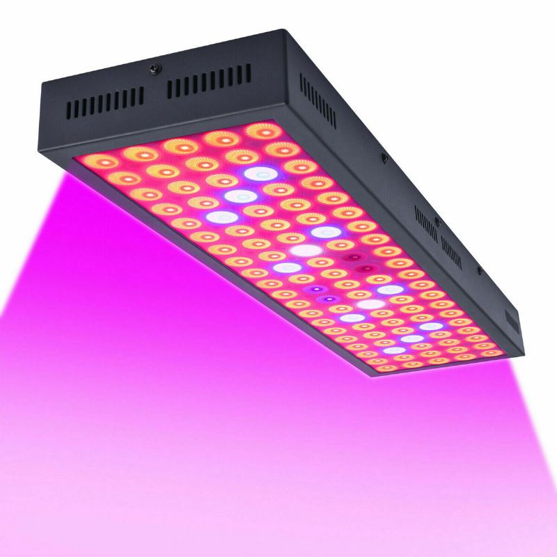 5000w Led Grow Light Strip Hydroponický Celospektrální Rostlinný Panel S Rostlinami A Květinami