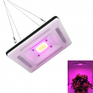 50w Cob Led Čtvercová Plně Spektrální Grow Světlo Vodotěsná Záplavová Lampa Ip64 Rostlina Květina Vnitřní Hydroponický Skleník