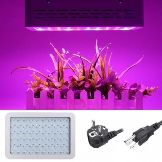 50w Full Spectrum Led Grow Light Hydroponická Pokojová Rostlina S Rostlinným Květem