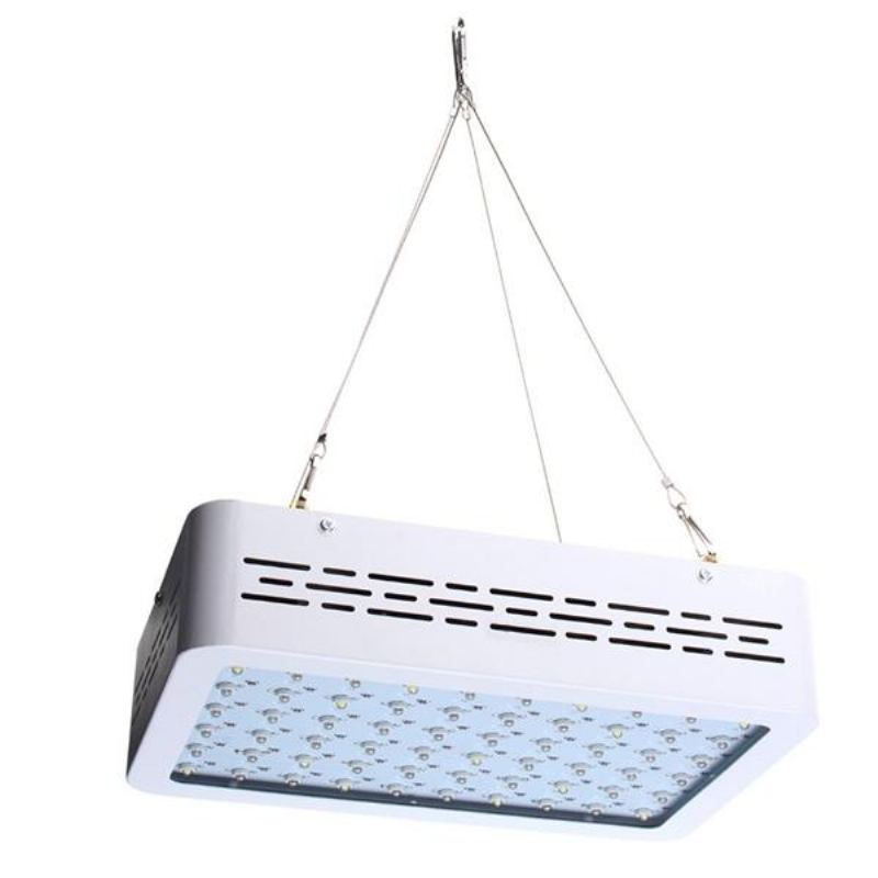 50w Full Spectrum Led Grow Light Hydroponická Pokojová Rostlina S Rostlinným Květem