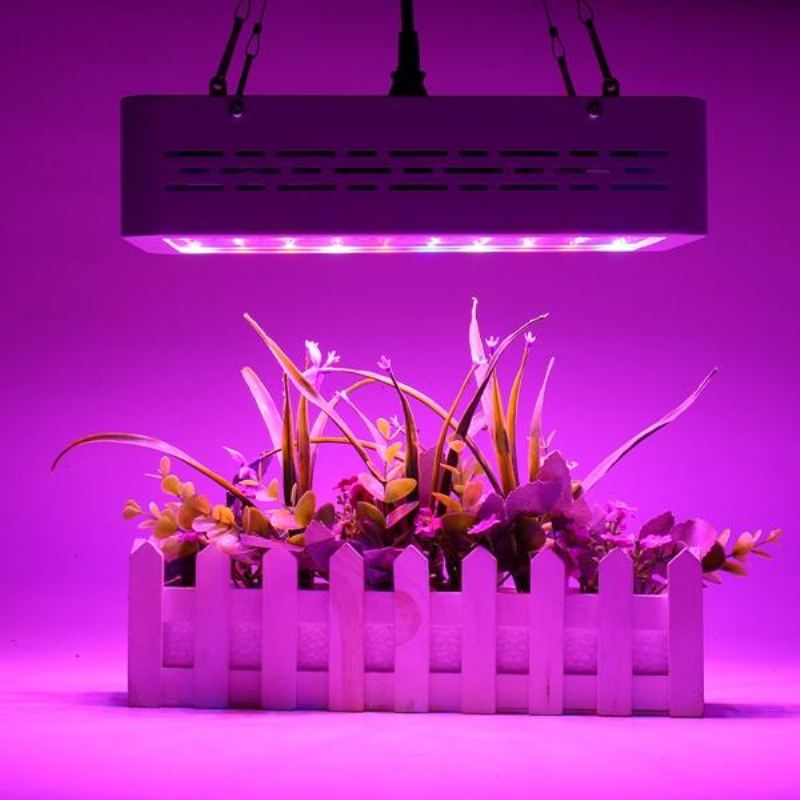 50w Full Spectrum Led Grow Light Hydroponická Pokojová Rostlina S Rostlinným Květem