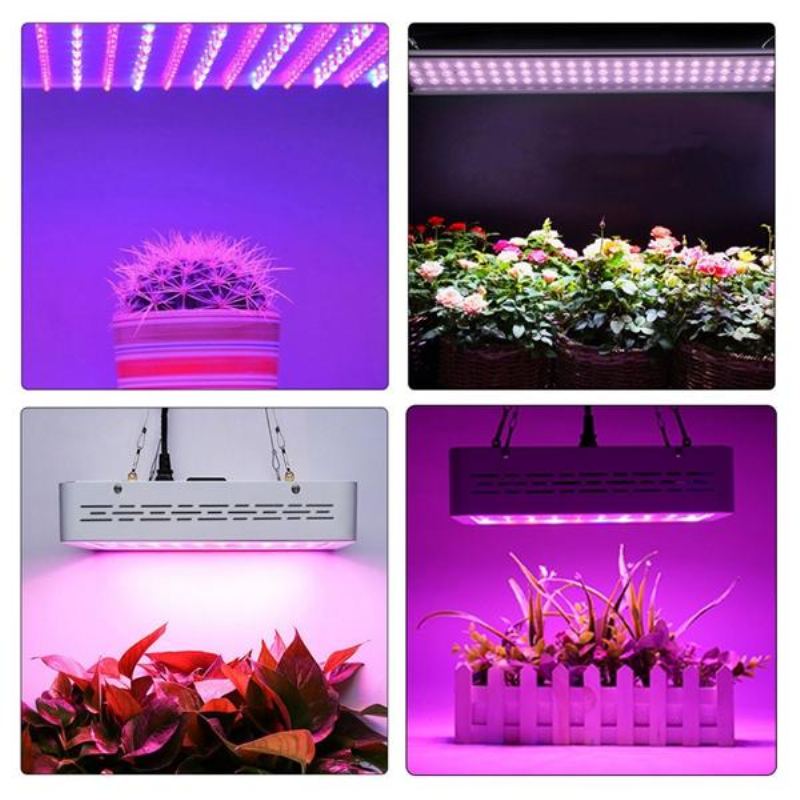 50w Full Spectrum Led Grow Light Hydroponická Pokojová Rostlina S Rostlinným Květem