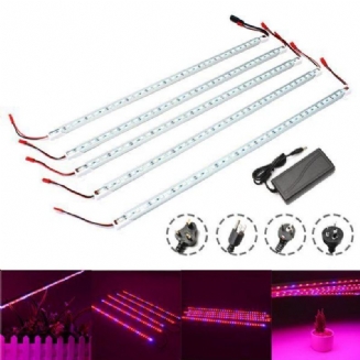 5pcs 50cm Smd5050 Nevodotěsné 5:1 Led Páskové Světlo + 5a Napájecí Adaptér Pro Zahradu Pěstování Rostlin Dc12v