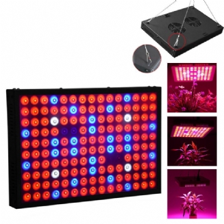 600w Full Spectrum Led Grow Light Hydroponická Vnitřní Panelová Lampa Pro Pěstování Rostlin Na