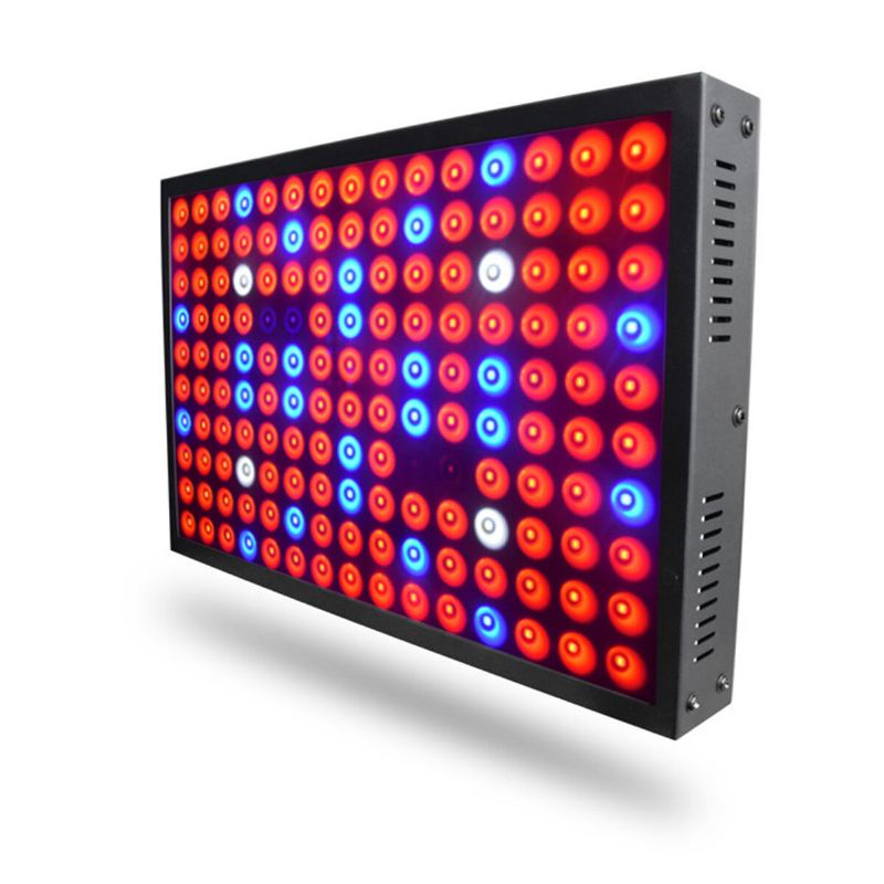 600w Full Spectrum Led Grow Light Hydroponická Vnitřní Panelová Lampa Pro Pěstování Rostlin Na